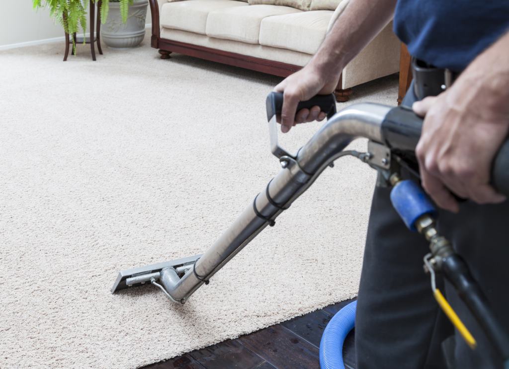 Carpets Professional Cleaning